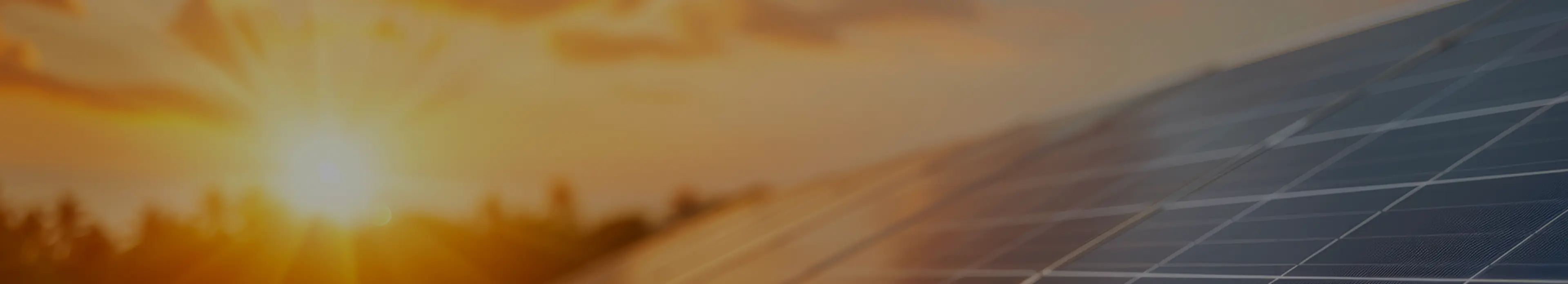 Secretariat Background